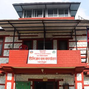 ताप्लेजुङमा गोलिया काठ र जडीबुटीजन्य वस्तु निकासीबाट करिब साढे पाँच करोड रुपियाँ राजस्व सङ्कलन