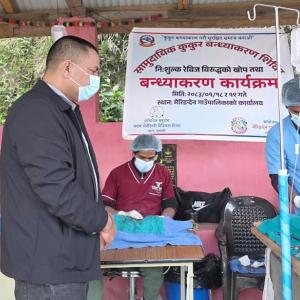 ताप्लेजुङको मेरिङदेन गाउँपालिकामा रेबिज नियन्त्रणका लागि बन्ध्याकरण शिविर