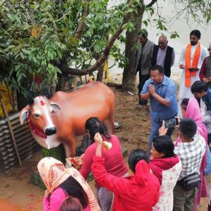 चार हजार किलोग्राम तौलको शिलाबाट निर्मित गौमाताको प्रतिमा अनावरण