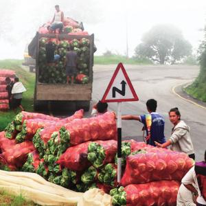 धनकुटामा सात अर्बको तरकारी उत्पादन