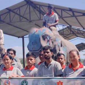 कोशी टप्पु हात्तीसारमा विश्व हात्ती दिवस मनाइयो