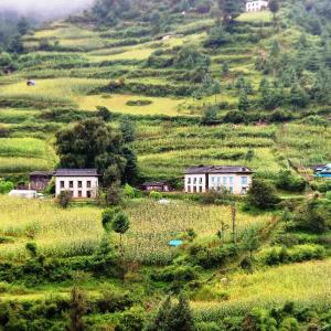 भालुको आतङ्कले हैरान हिमाली भेगका किसान भालुको आतङ्कले हैरान हिमाली भेगका किसान