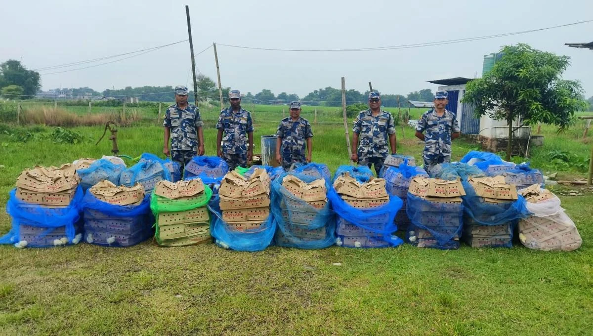 मोरङमा भारतबाट चोरबाटो हुँदै ल्याइँदै गरेको ७ हजार ब्रोइलर चल्ला बरामद