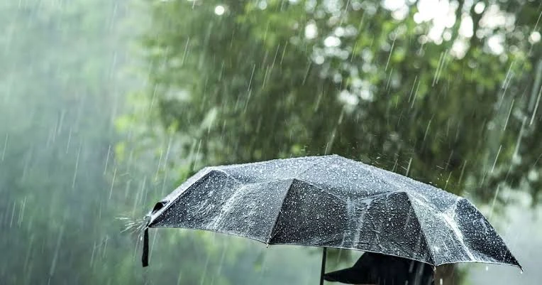 पाँचथरमा पहिरोको त्रास स् पानी पर्नासाथ रातभर जागै बस्छन् याङवरकका बासिन्दा