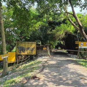 कोशीटप्पुमा ४३ लाख राजस्व सङ्कलन