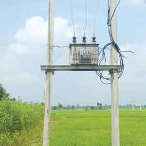 सिँचाइका लागि खेतमा बिजुली