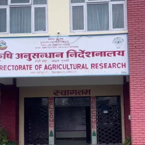 तरहरामा कृषि यन्त्र सञ्चालन तथा व्यवस्थापनसम्बन्धी तालिम सुरु